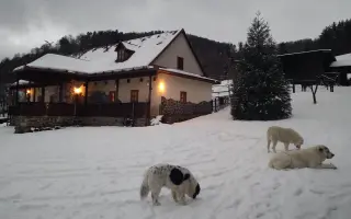 Horský Ranč – domov pre zvieratá, ktoré nikto nechcel