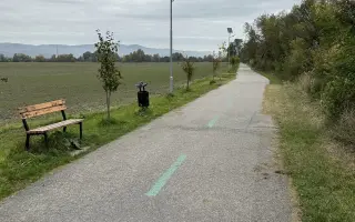 SadímeStromy: Posadíme 100 stromov každý rok