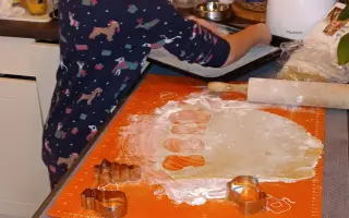 Pomôžte udržať domov pre Karin a jej syna