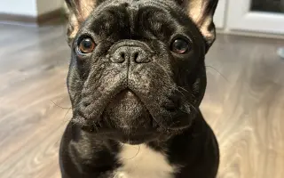 Pomôžme Teovi získať šancu na život bez bolesti