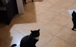 Pomôžme Mikešovi znovu sa nadýchnuť