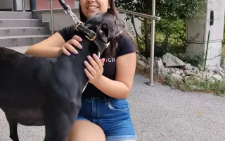 Laura uspela na 3. mieste na prijímačkách. Pomôžte, aby mohla študovať.