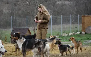 Pomôžme opusteným psom v útulku Kristi rescue v meste Podilsk na Ukrajine