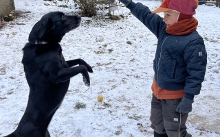 Podpor obnovu rodového statku s ubytovaním na DOBRODVORE