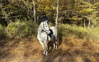 Jazdenie na koni Újazd | Podporate mladých farmárov v chove koní