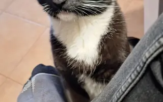 Pomôžme Mikešovi znovu sa nadýchnuť