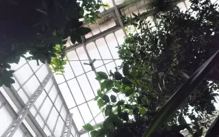 Znížme uhlíkovú stopu v Botanickej záhrade UPJŠ