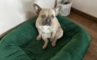 Zachráňme Amy pohyb a život bez bolesti
