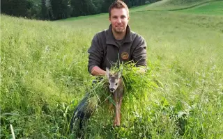 Každé ráno rozhoduje o živote srnčiat - pomôžte nám ich nájsť včas
