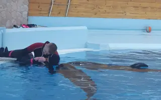 Pomôžme Peťkovi s ťažkým autizmom absolvovať delfinoterapiu