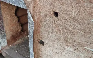 Pomôžte nám vyrobiť búdy pre psíkov v útulkoch