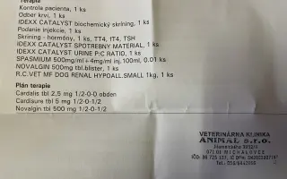 Pomôžme Luckymu k dôstojnému životu bez bolesti
