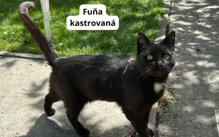 Pomôžte nám dlhodobo pomáhať pouličníkom