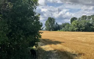 Pomôžte somárikovi Aladárovi získať štiepkovač pre náš Vidiecky sen