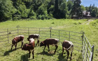 Pomôž projektu Ranč pod Sninským kameňom