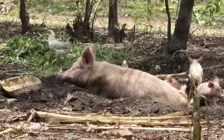 Pre nás kvapka, pre ne oceán – podpora pre komunitu žien v Ugande