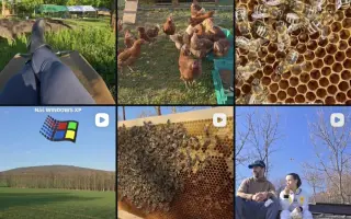 Druhá šanca pre včely | pomôžte mi vytvoriť špeciálnu Karanténnu včelnicu