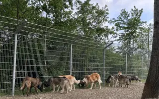 Pomôžte nám v ďalšej fáze budovania CPZ
