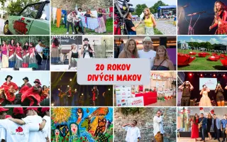 Oslávte s nami 20 rokov Divých Makov a podporte vzdelávanie rómskych detí!
