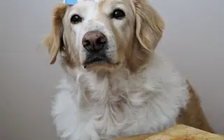 Pomohli ste Dukovi pokračovať v liečbe a kontrolách