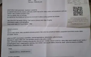 Pomohli ste Belke na ceste k liečbe a novému domovu