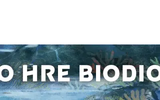 BIODIO – objav krásu prírodného sveta v tematickej kartovej hre
