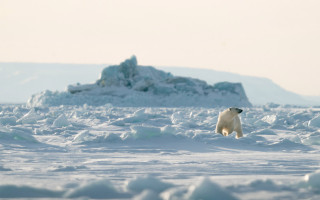 Pohľadnice severu: Podpor dokumentárny film z najcitlivejších oblastí Zeme