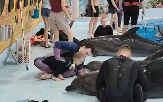 Pomôžme Petríkovi ísť na delfinoterapiu, ktorá mu pomohla otvoriť sa svetu