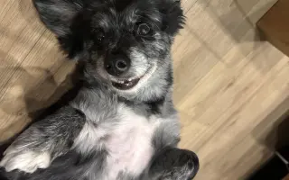 Pomôžme Filipkovi v boji s nádorom Pomôžme Filipkovi v boji s nádorom