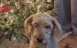 Pomôžme Lakymu pri liečbe rakoviny