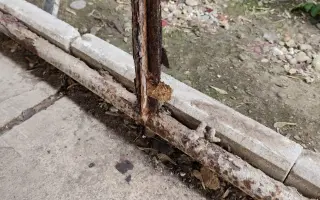 Psíkovia z Útulku Piešťany potrebujú nové koterce - pomôžme im ich zabezpečiť