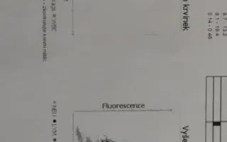 Podporte Anyu, fenku francúzskeho buldočka