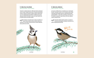 Ilustrovaný vtáčí atlas – podporte jeho vydanie