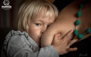 Podporte MAMILU a nové AI vyhľadávanie pre spoľahlivú pomoc pri dojčení