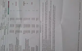 Pomohli ste Belke na ceste k liečbe a novému domovu