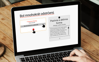 On-line editor a učiteľ písania pre slovenčinu je konečne tu. Podpor jeho vznik!