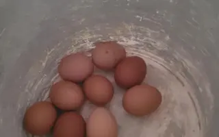 POMÔŽTE nám vybudovať farmu plnú radosti