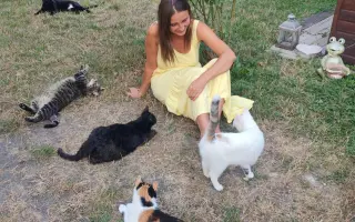 Pomohli ste Mačičkám u Larky zvládnuť náročné obdobie