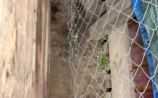 Pomôžte nám dať psom druhú šancu – prerábame Happy Paw’s