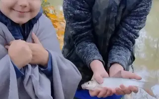 Pomôžte Beáte udržať sebe a synom strechu nad hlavou