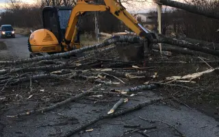 Pomôžte somárikovi Aladárovi získať štiepkovač pre náš Vidiecky sen