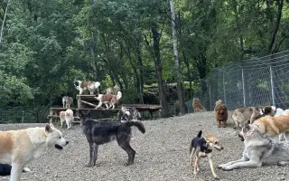 Pomôžte nám v ďalšej fáze budovania CPZ