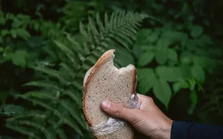 DOMA | Vydaj sa na potulky krajinou, ktorú nevidíme