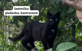 Pomôžte nám dlhodobo pomáhať pouličníkom