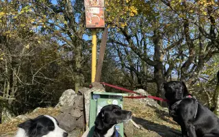 Darujme Benjimu nový život bez bolesti