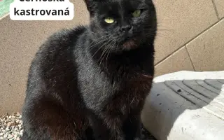 Pomôžte nám dlhodobo pomáhať pouličníkom