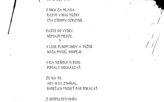 Poézia pre mužov, ktorí mlčia.