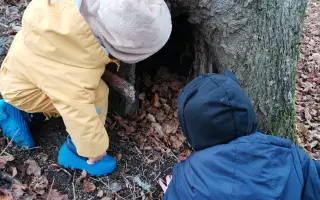 Zachráňme lesnú škôlku Flóra Bojnice