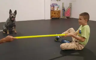 Pomôžme dvojičkám Walinkovi a Sebinkovi s autizmom
