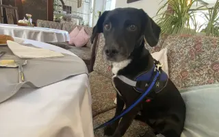 Darujme Benjimu nový život bez bolesti